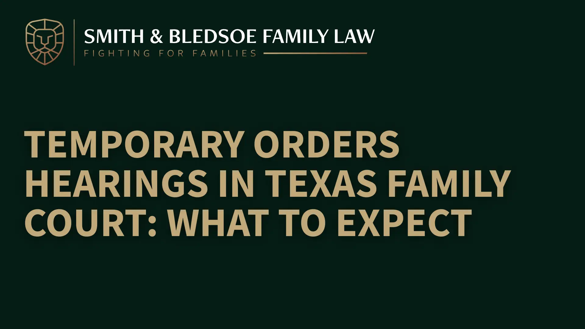 Temporary Orders Hearings in Texas Family Court_ What to Expect
